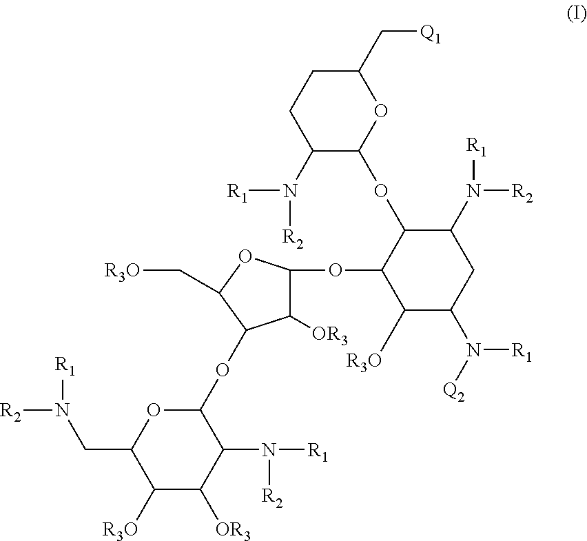 Antibacterial aminoglycoside analogs