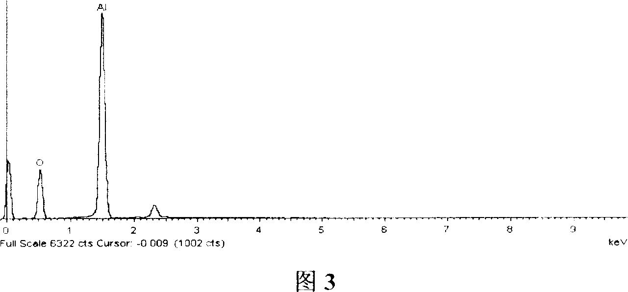 Preparation of catalyst for synthesizing hydrotalcite thin film by alcohol oxidation reaction