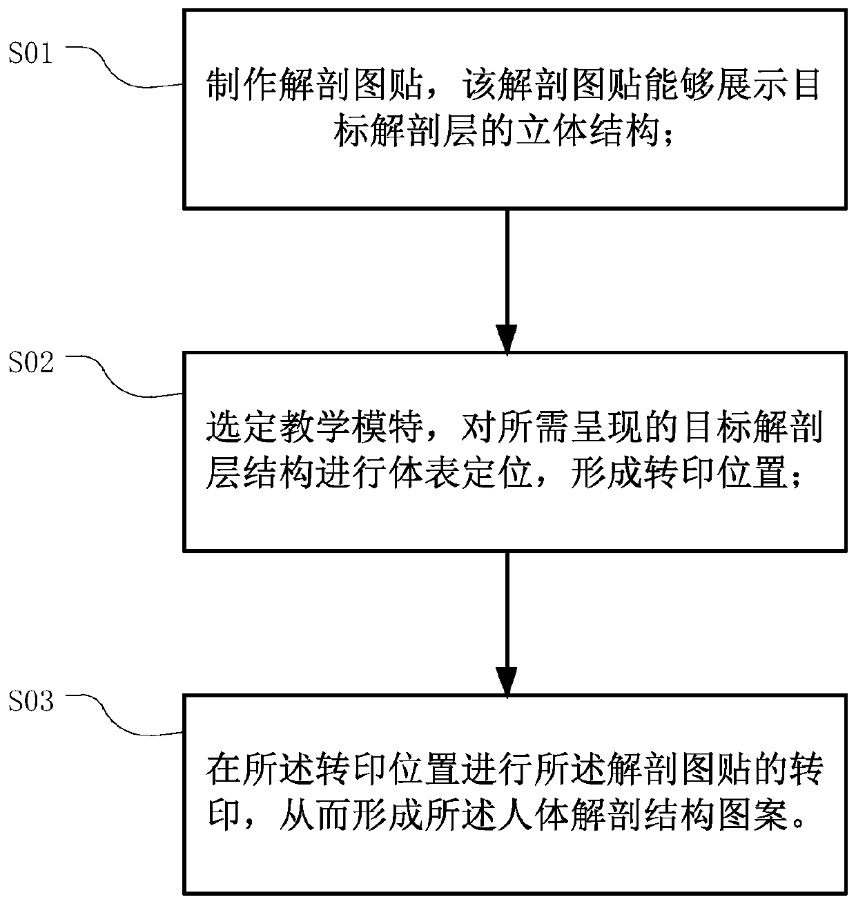 Anatomical map and manufacturing method of anatomical map, and forming method of human body anatomical structure pattern