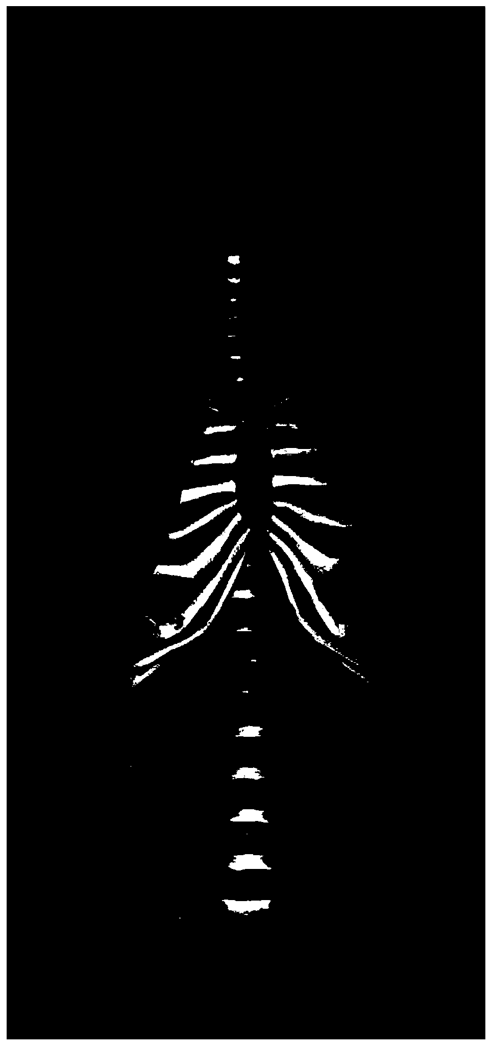 Anatomical map and manufacturing method of anatomical map, and forming method of human body anatomical structure pattern