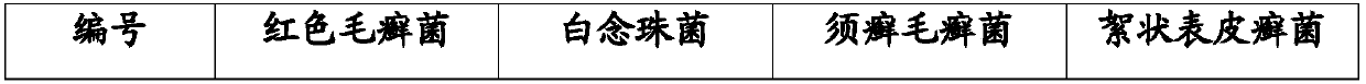 Medicine composite for treating beriberi, preparation and preparation method and application of composite