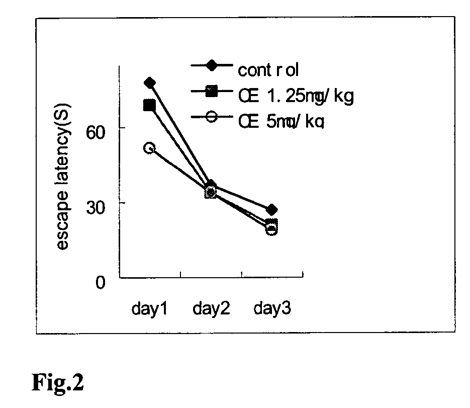 Use of derivatives of succinate esters for the treatment of dementia