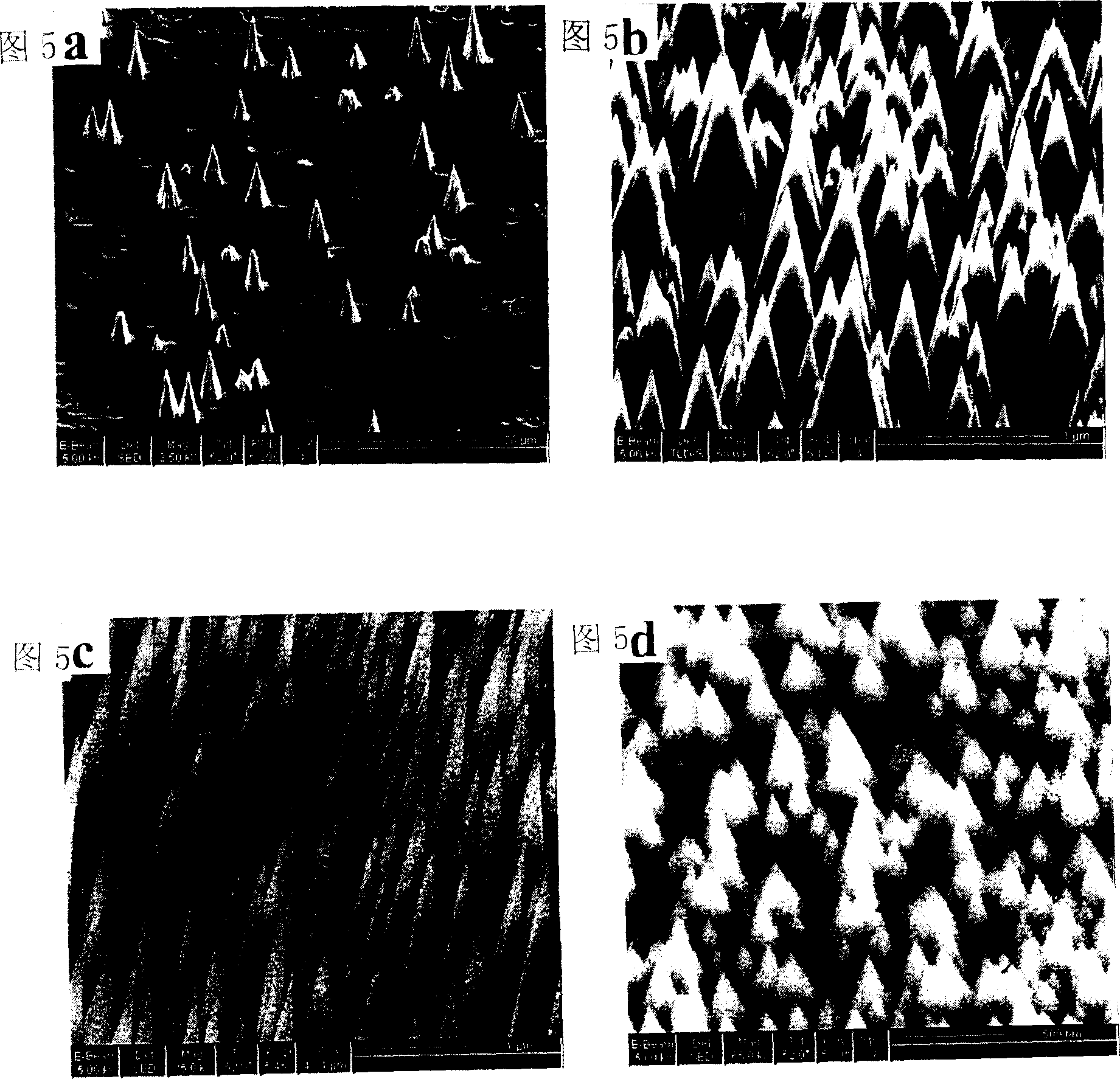 Surface nano tip array and its preparing method