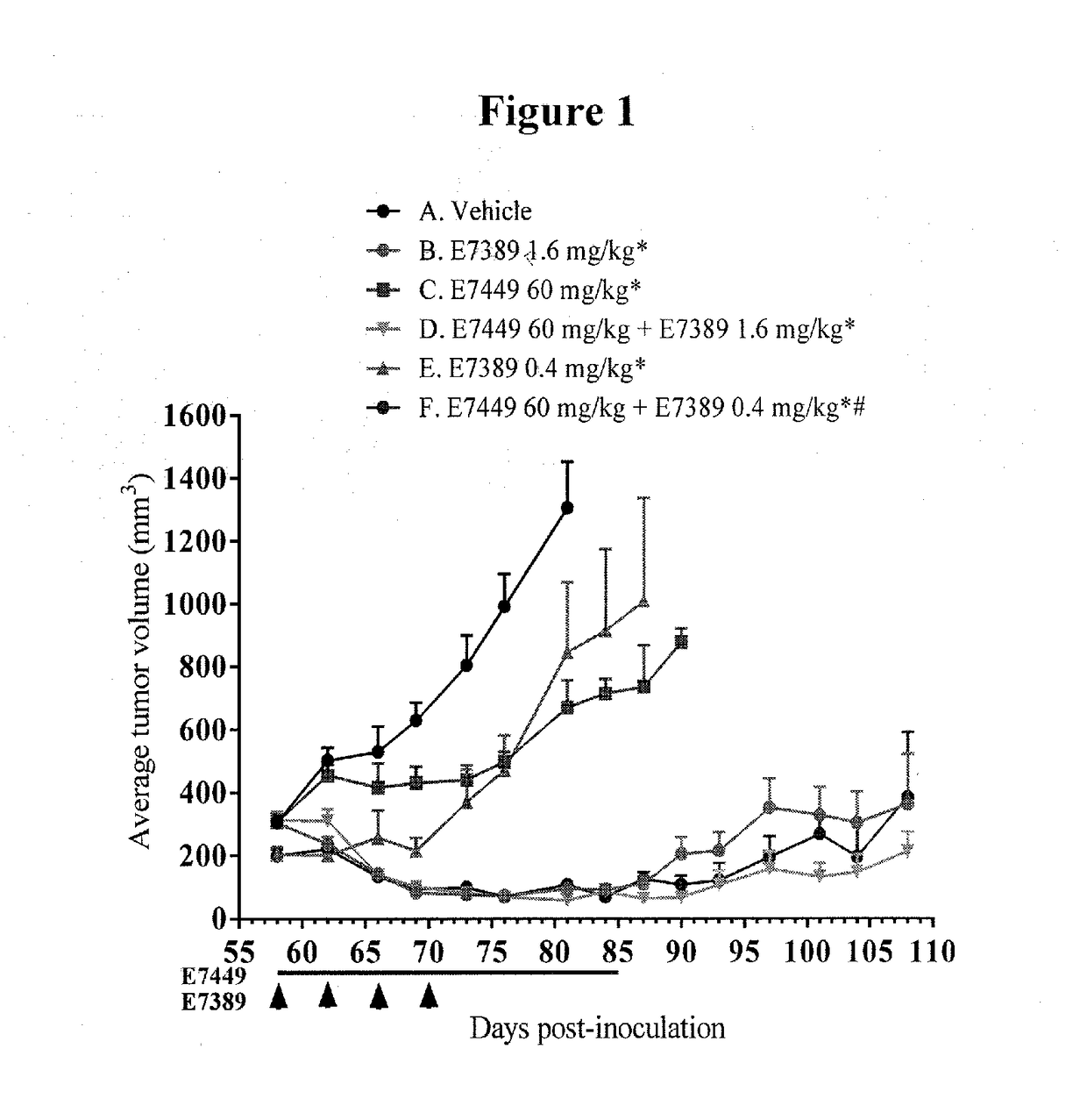 Use of eribulin and poly (adp ribose) polymerase (PARP) inhibitors as combination therapy for the treatment of cancer