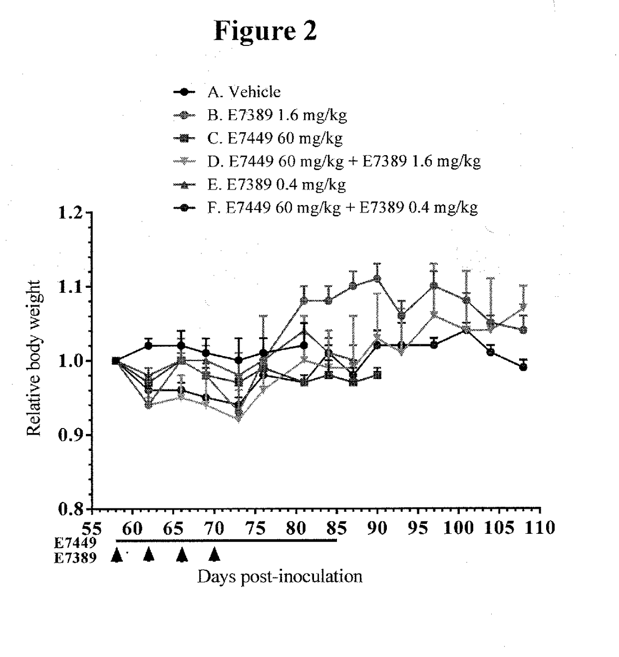 Use of eribulin and poly (adp ribose) polymerase (PARP) inhibitors as combination therapy for the treatment of cancer