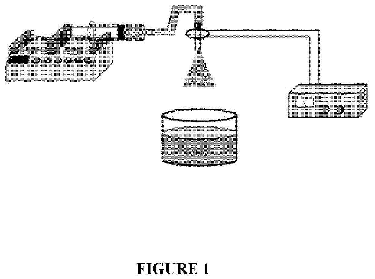 Supraparticle Formulations