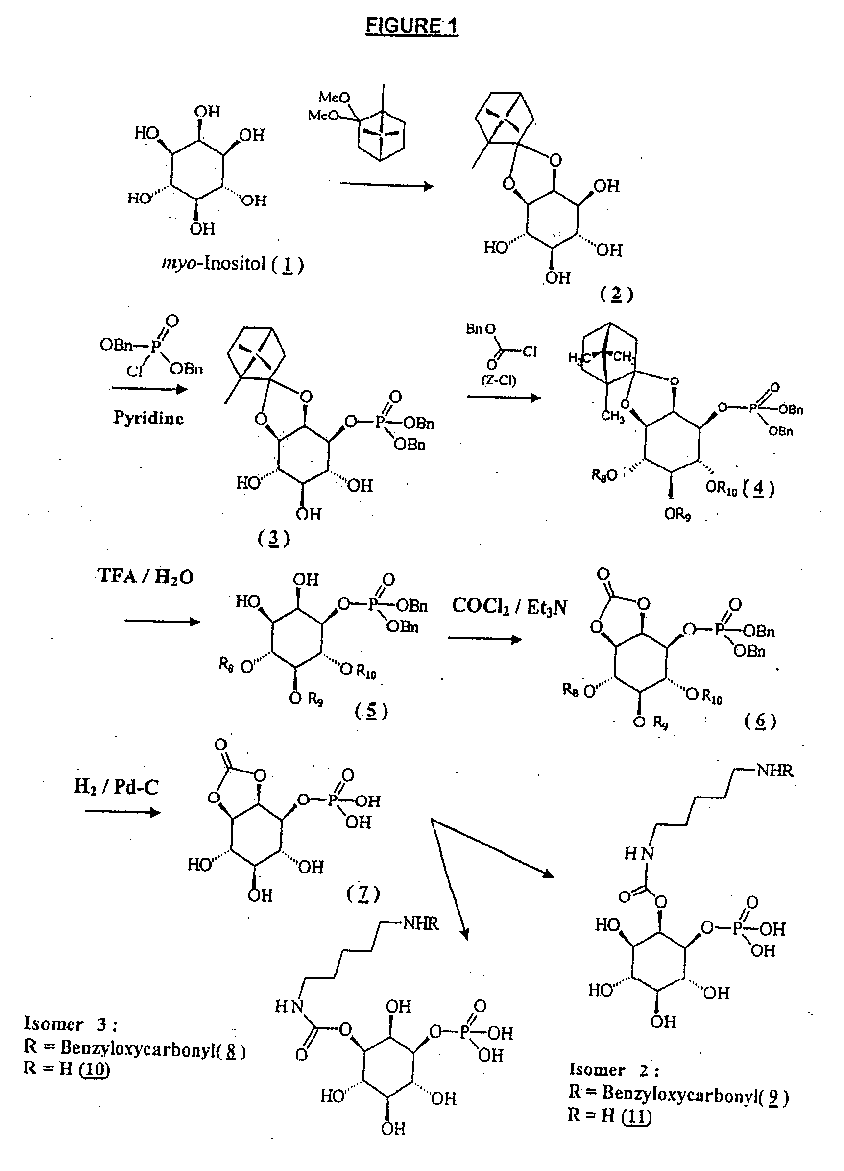 Inositol-Phosphate Derivatives and Method of Detecting Inositol-1-Phosphate