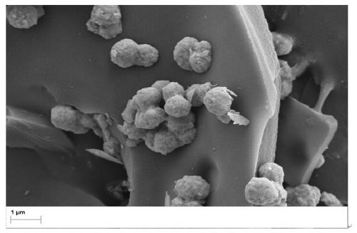 Preparation method and application of biological carbon-based iron carrying composite material