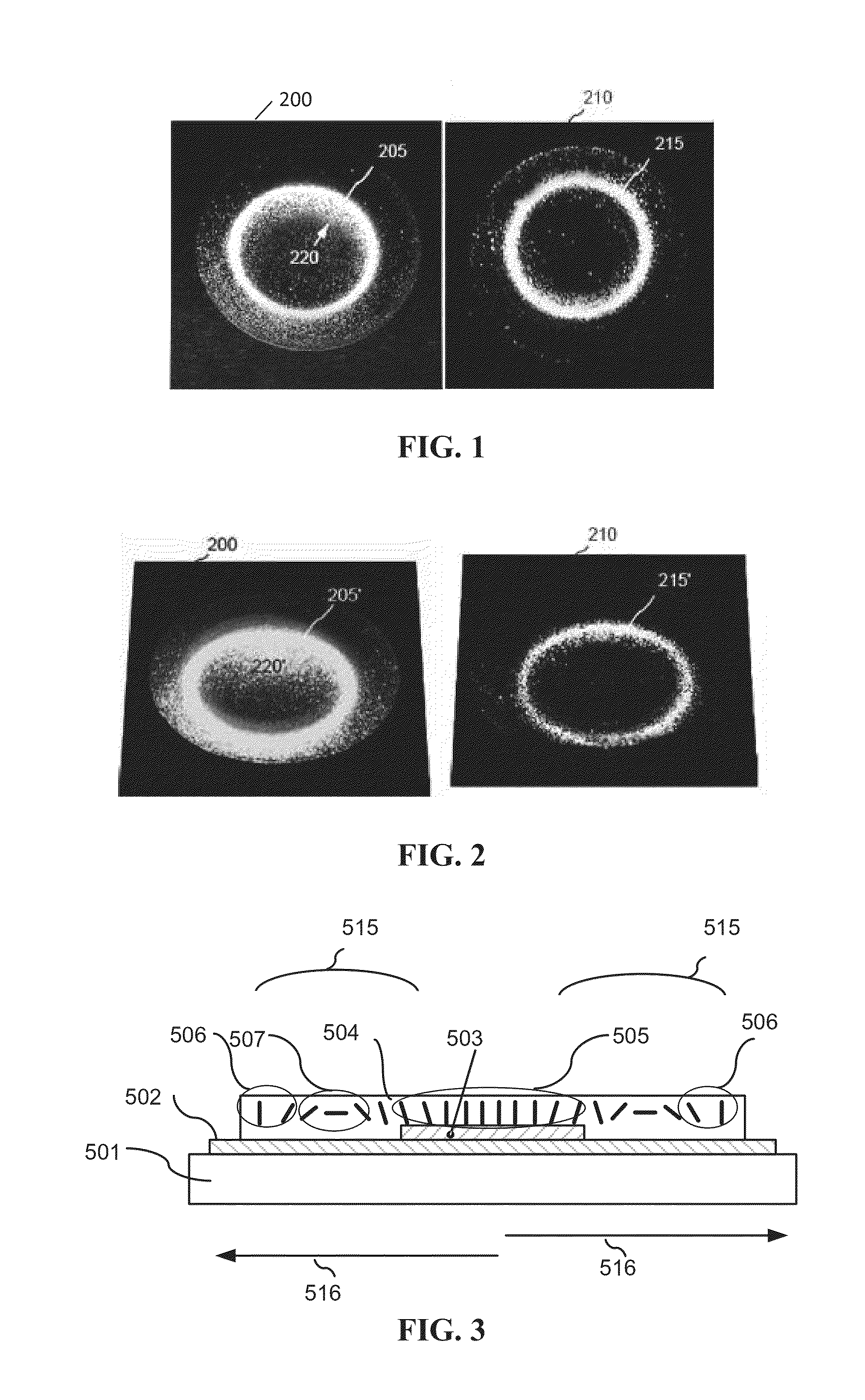 Article with a dynamic frame formed with aligned pigment flakes