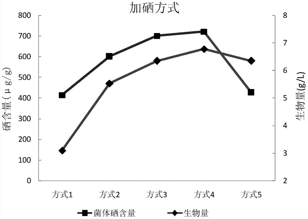 Saccharomyces longidosporum and its selenium-enriched culture method and application