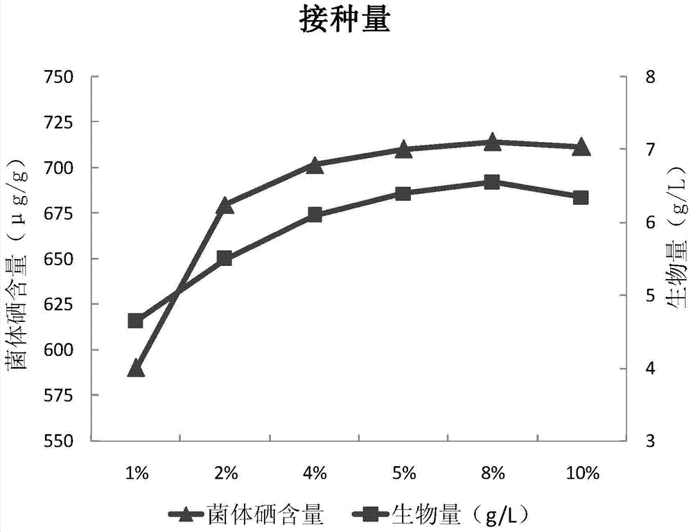 Saccharomyces longidosporum and its selenium-enriched culture method and application