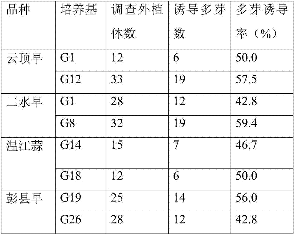 Method for rapidly obtaining virus-free garlic