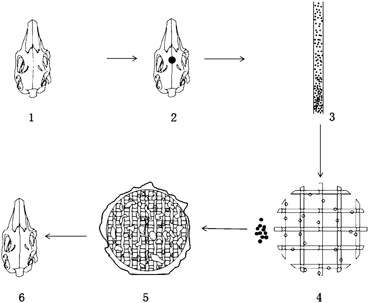 Gradient 3D (three-dimensional) printing Ti-PDA-BMP-2 bone defect repairing stent and preparation method thereof