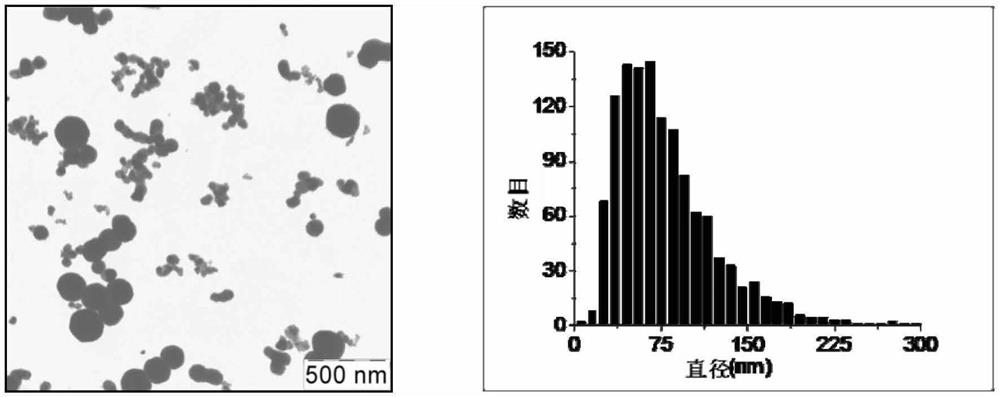 Plant cultivation method using metal nanoparticles and nutrient medium applied thereto