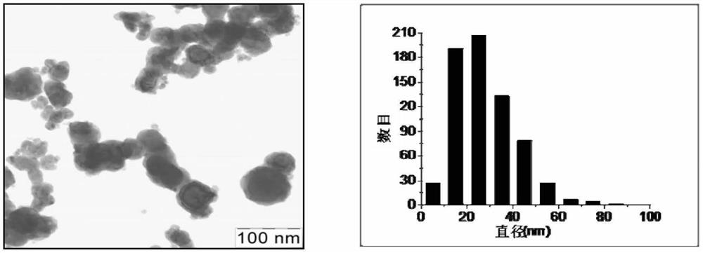 Plant cultivation method using metal nanoparticles and nutrient medium applied thereto