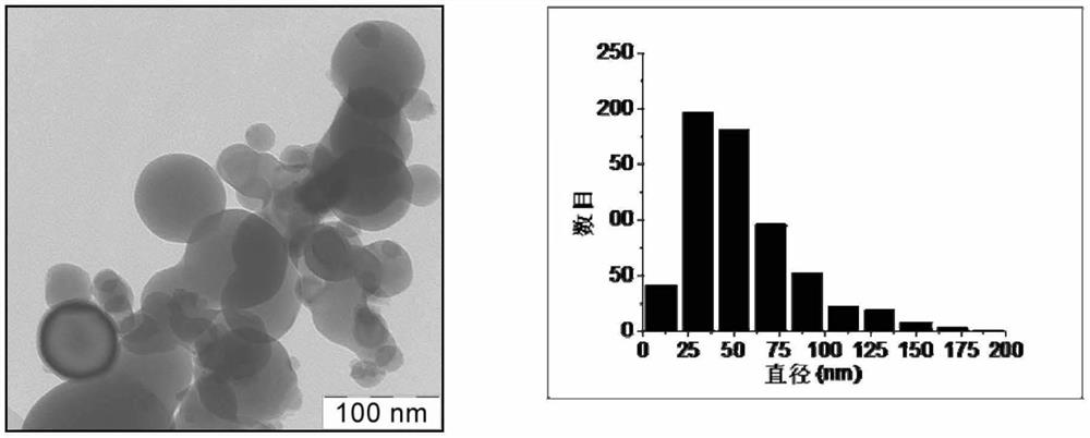 Plant cultivation method using metal nanoparticles and nutrient medium applied thereto