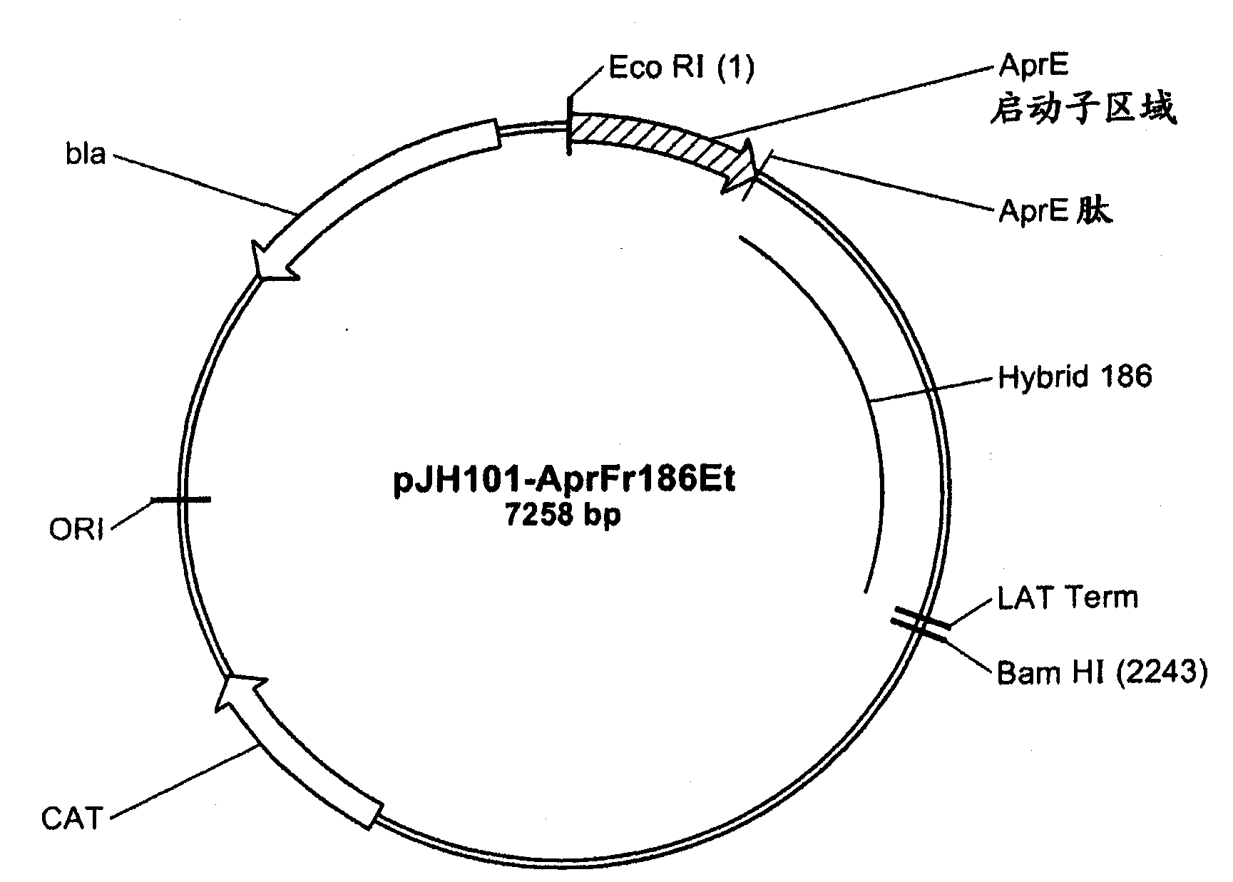 New chimeric alpha-amylase variants