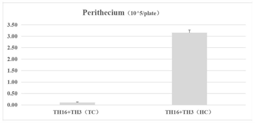 Hypha coating method for massively producing rice blast germ sexual generations