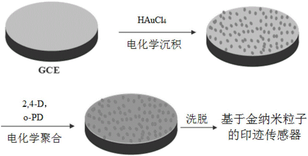 Imprinted sensor based on gold nanoparticles, preparation method and application thereof