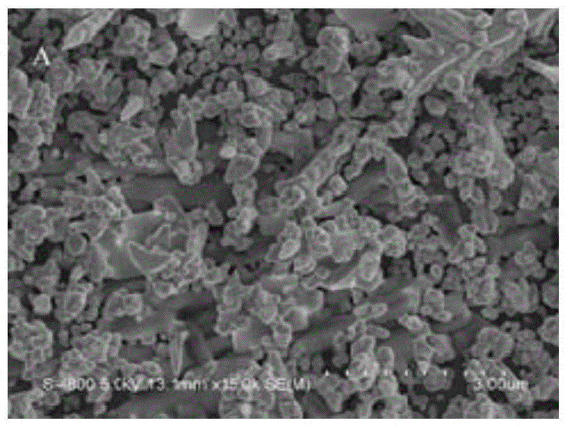 Imprinted sensor based on gold nanoparticles, preparation method and application thereof