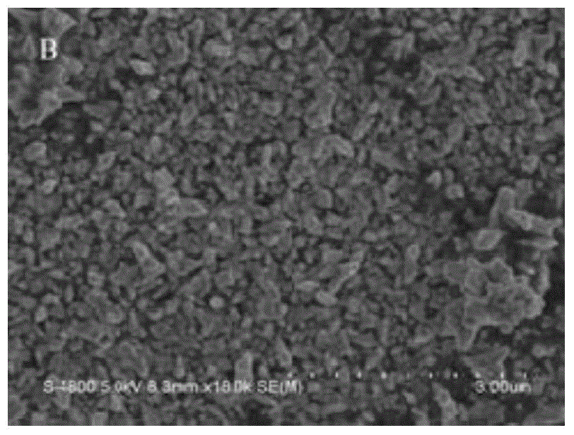 Imprinted sensor based on gold nanoparticles, preparation method and application thereof