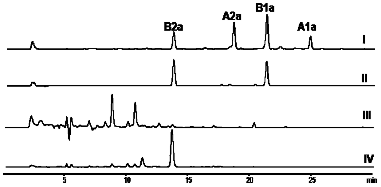 A kind of avermectin producing bacteria and its preparation method and application