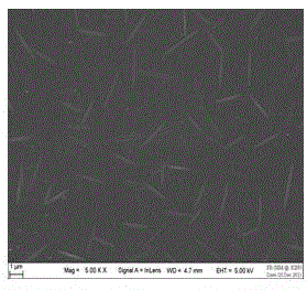 Self-assembly preparation method of gas-liquid interface of silver nanowire/graphene polymer composite film