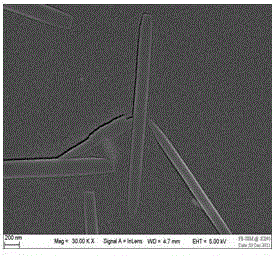 Self-assembly preparation method of gas-liquid interface of silver nanowire/graphene polymer composite film