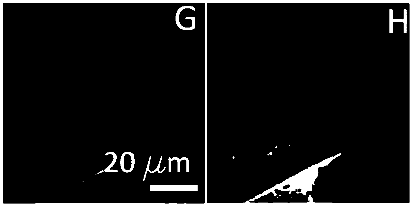 Novel multi-angle and multi-mode quick switching circular optical illumination microscopic imaging system