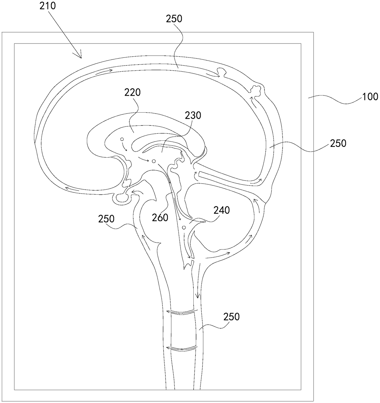 Cerebrospinal fluid flow demonstration device