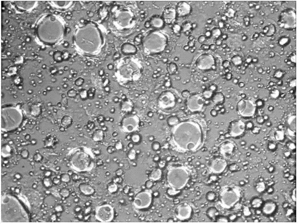 Liquid crystal emulsifier composition, and preparation method and application thereof in cosmetics