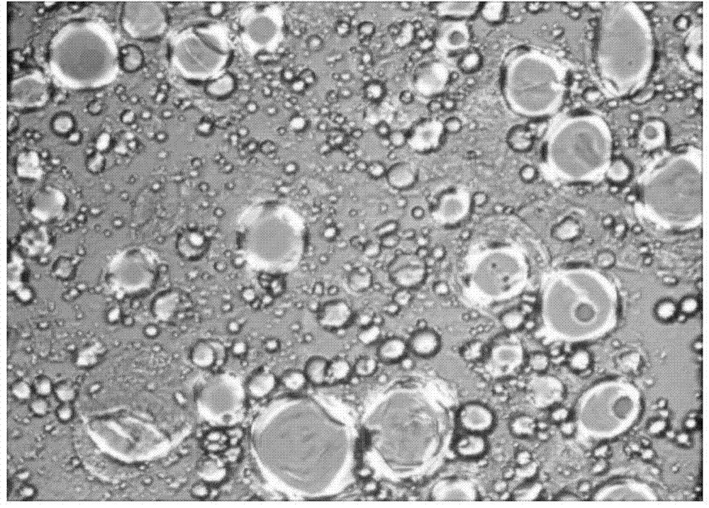 Liquid crystal emulsifier composition, and preparation method and application thereof in cosmetics