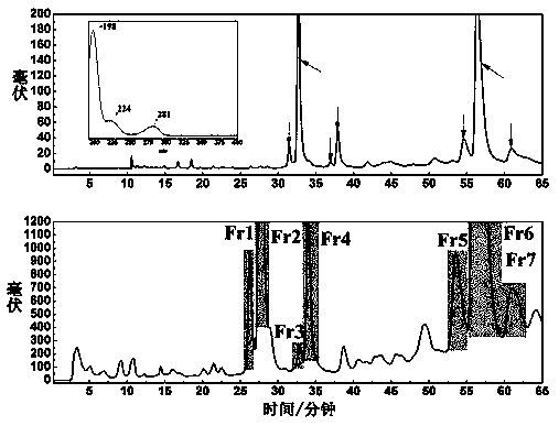 Directional separation and purification method for diarylheptane-type compounds in saxifraga tangutica