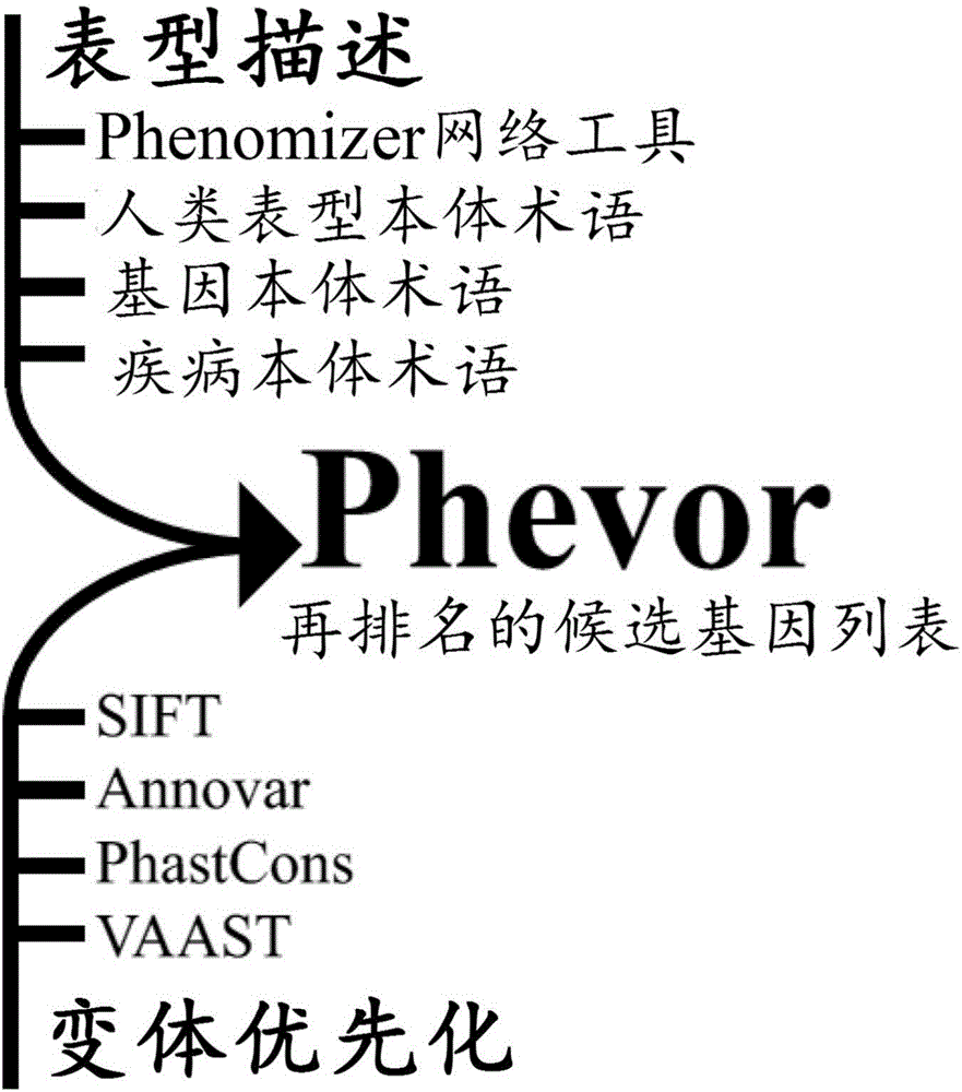 Methods and systems for genome analysis