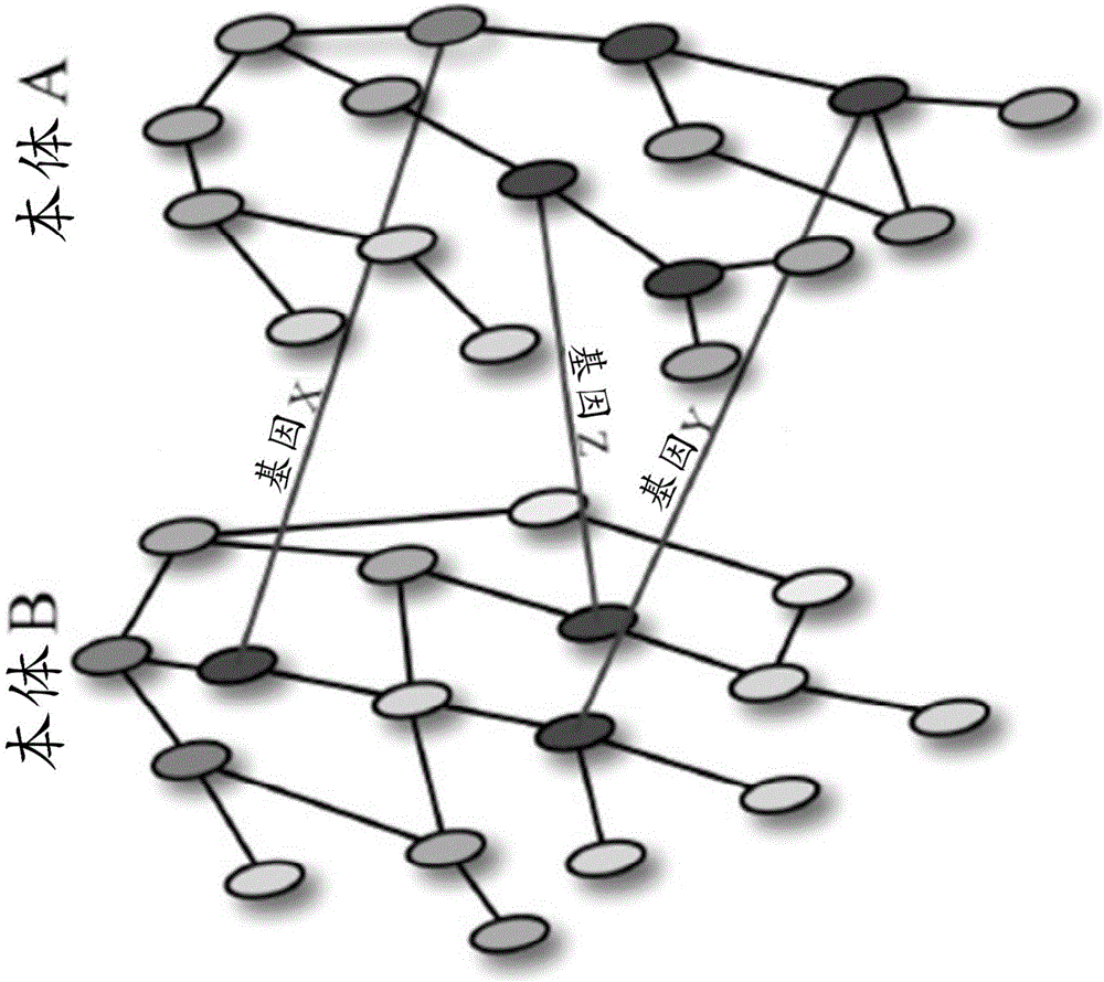 Methods and systems for genome analysis