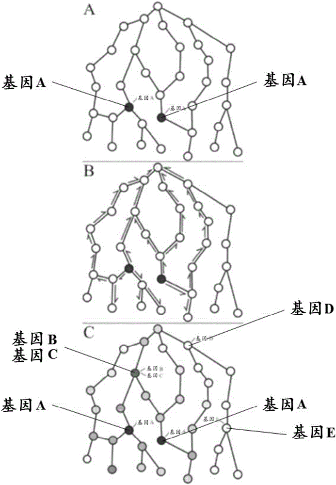 Methods and systems for genome analysis