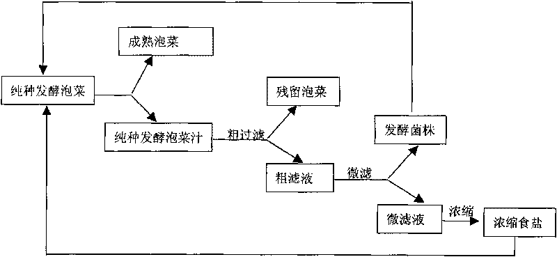 Method for recycling pure-breed fermented pickle juice