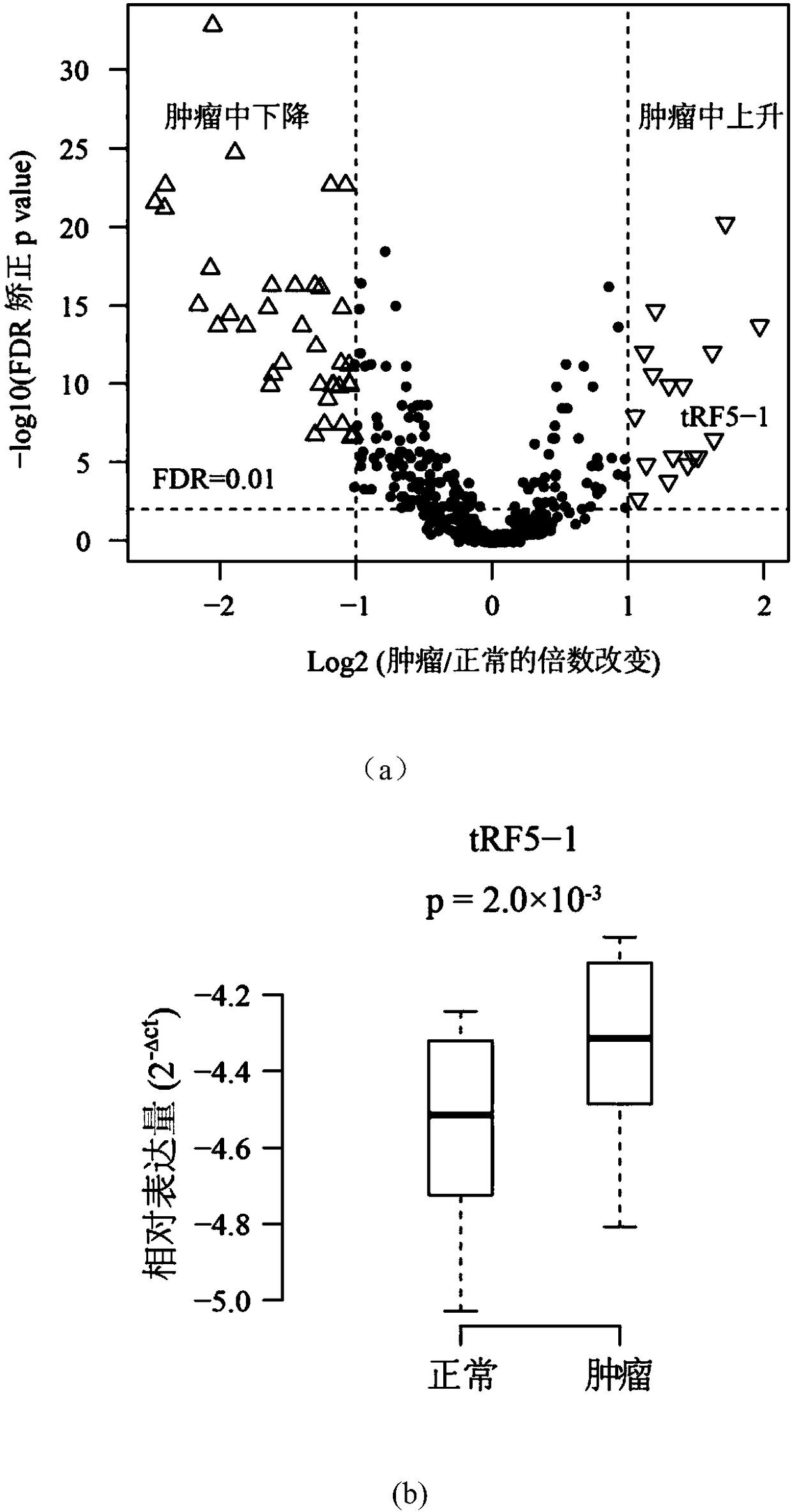 Application of novel molecular marker to preparation of kit for diagnosis and prognosis of renal clear cell carcinoma