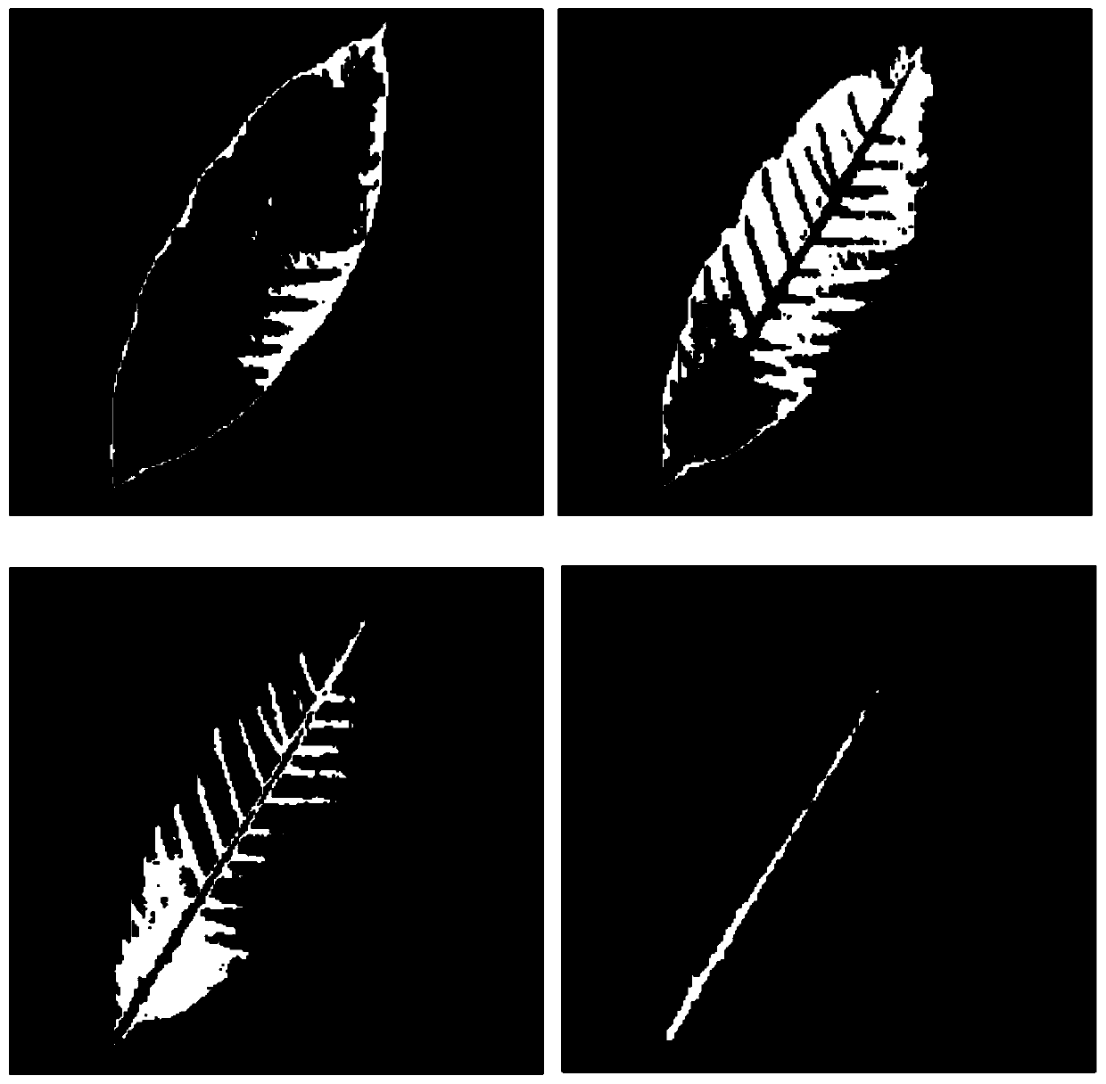 A near-infrared-band hyperspectral diagnosis method for detecting content of nitrogen in rubber tree leaves