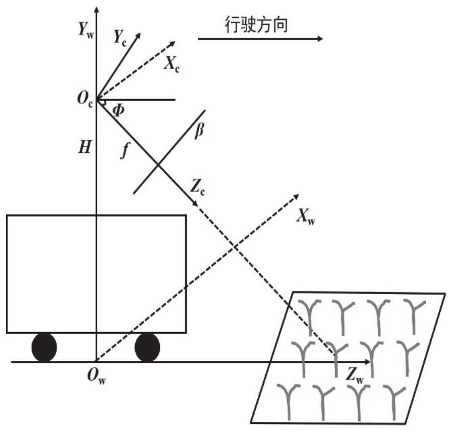 Method for detecting autonomous navigation path of plant protection robot, server and storage medium