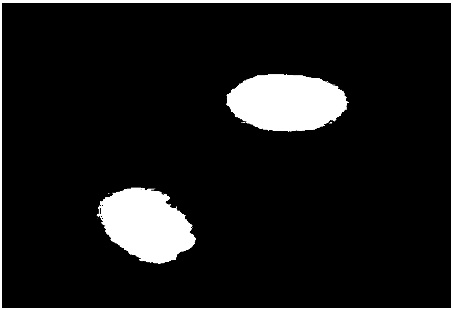 Preparation method of beta-cyclodextrin microsphere for rhizoma acori graminei volatile oil