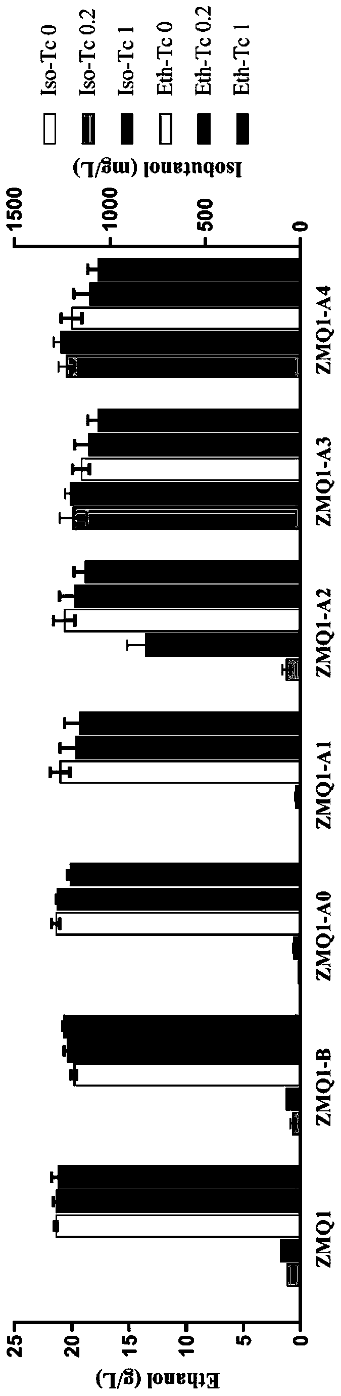 Zymomonas mobilis recombination strain producing isobutanol, construction method and application thereof