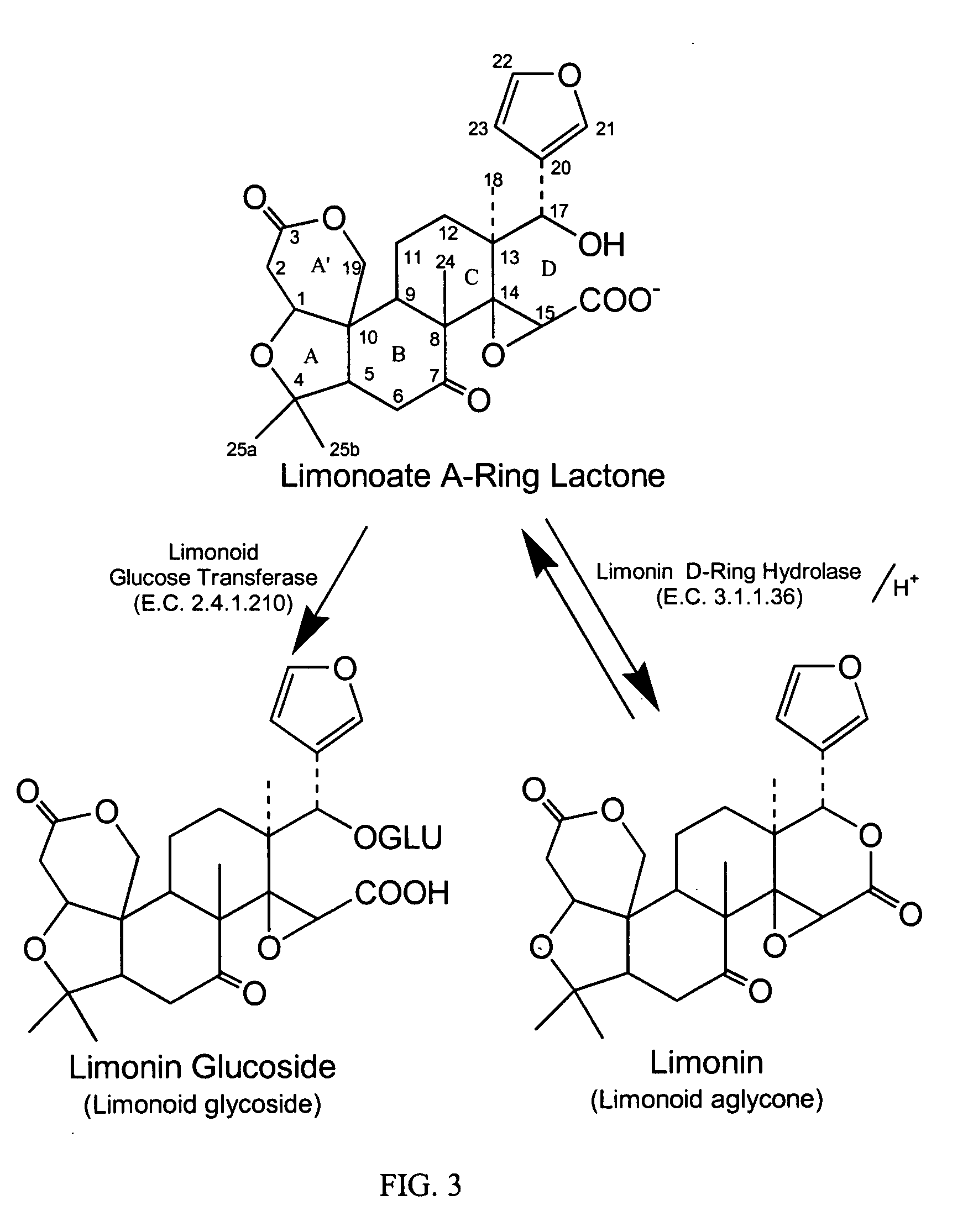 Manufacture of limonoid compounds