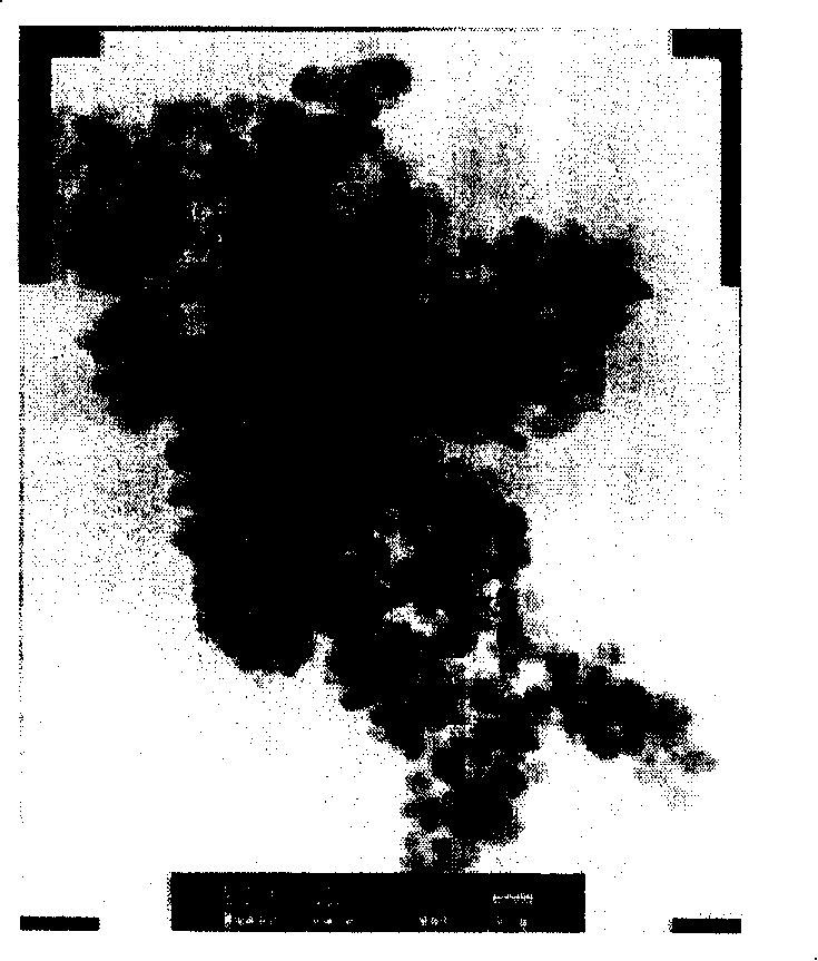 Magnetic nano particle enzyme immobilization as well as preparation method and uses thereof