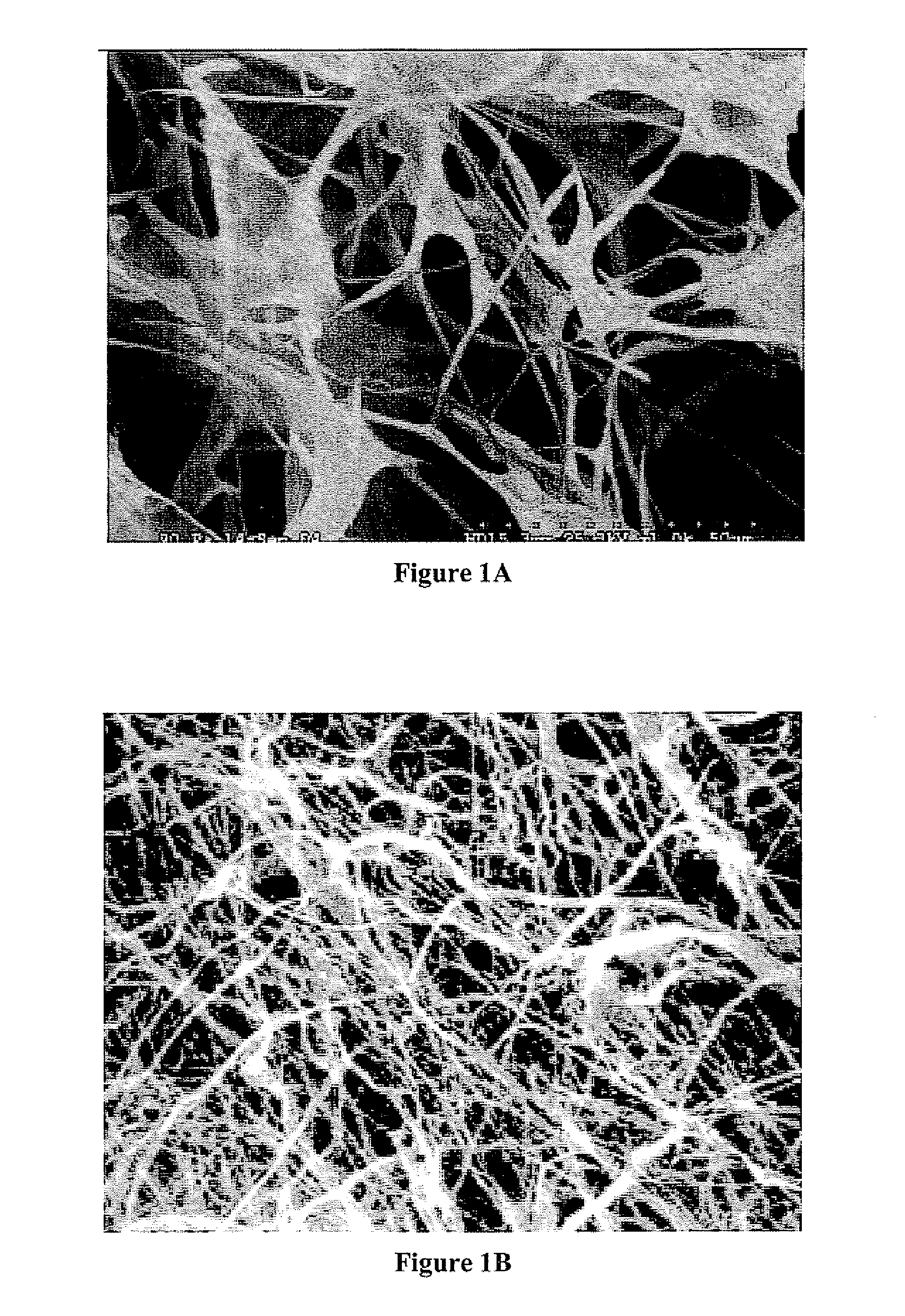 Keratin bioceramic compositions