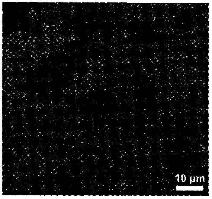 Electrostatic self-assembling preparation method of graphene/silicon electrode material