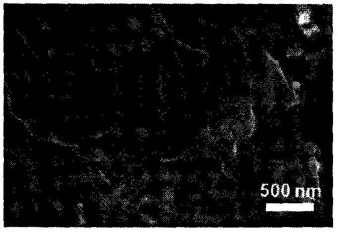 Electrostatic self-assembling preparation method of graphene/silicon electrode material