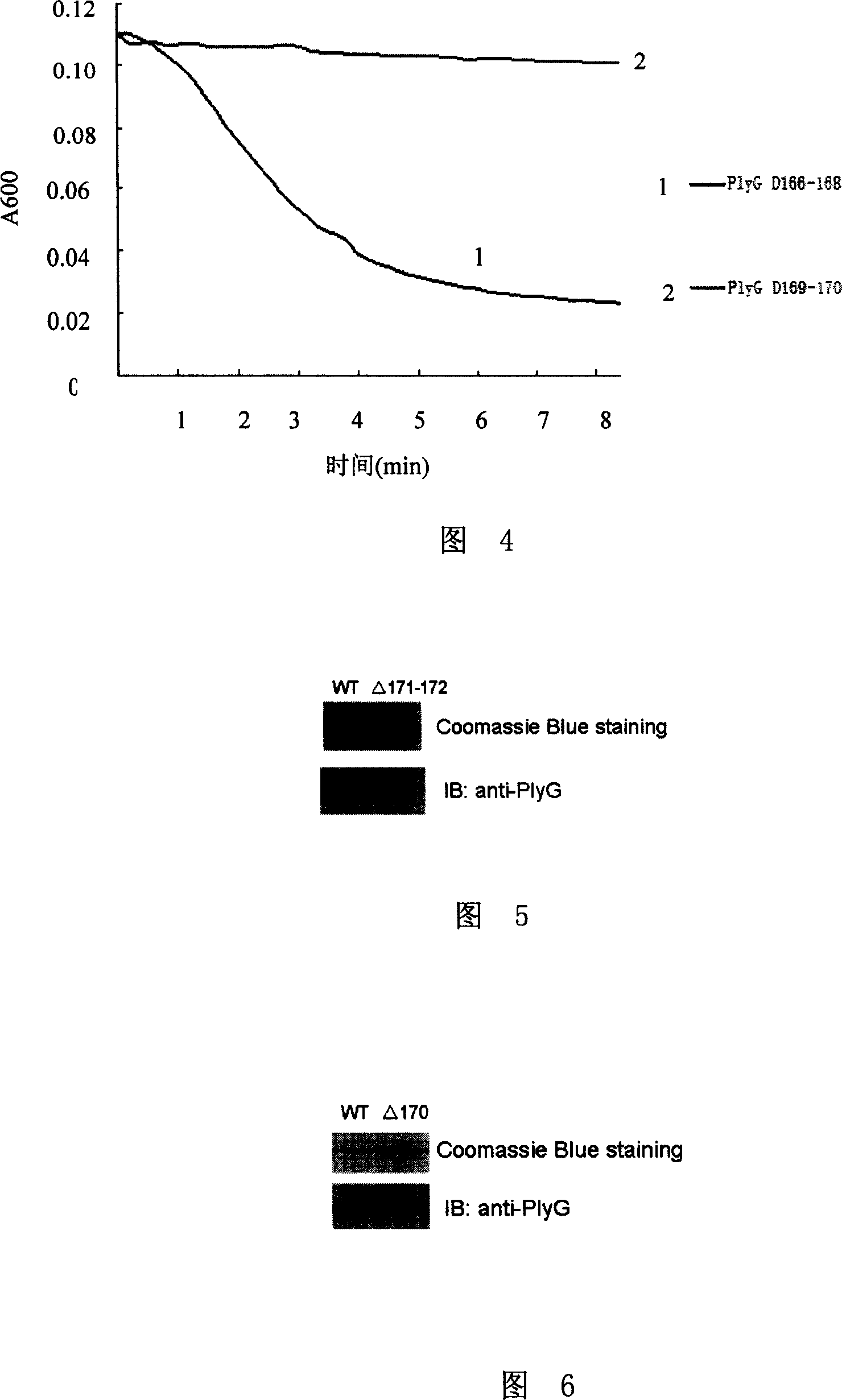 Antigen epitope and mutant of lyase in gamma bacteriophage of anthrax bacillus, and application