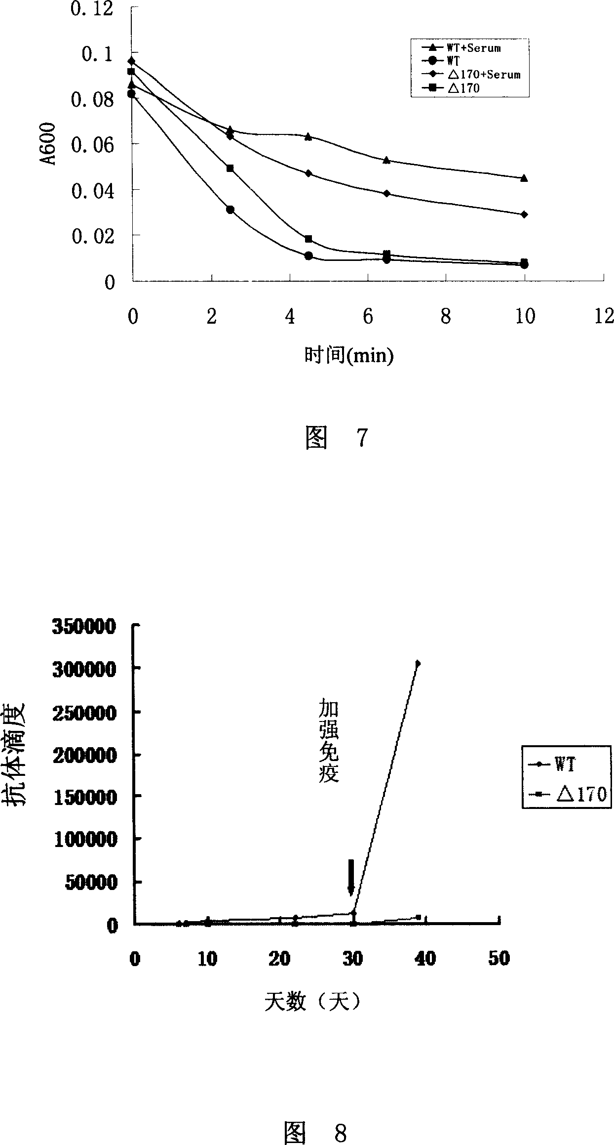 Antigen epitope and mutant of lyase in gamma bacteriophage of anthrax bacillus, and application