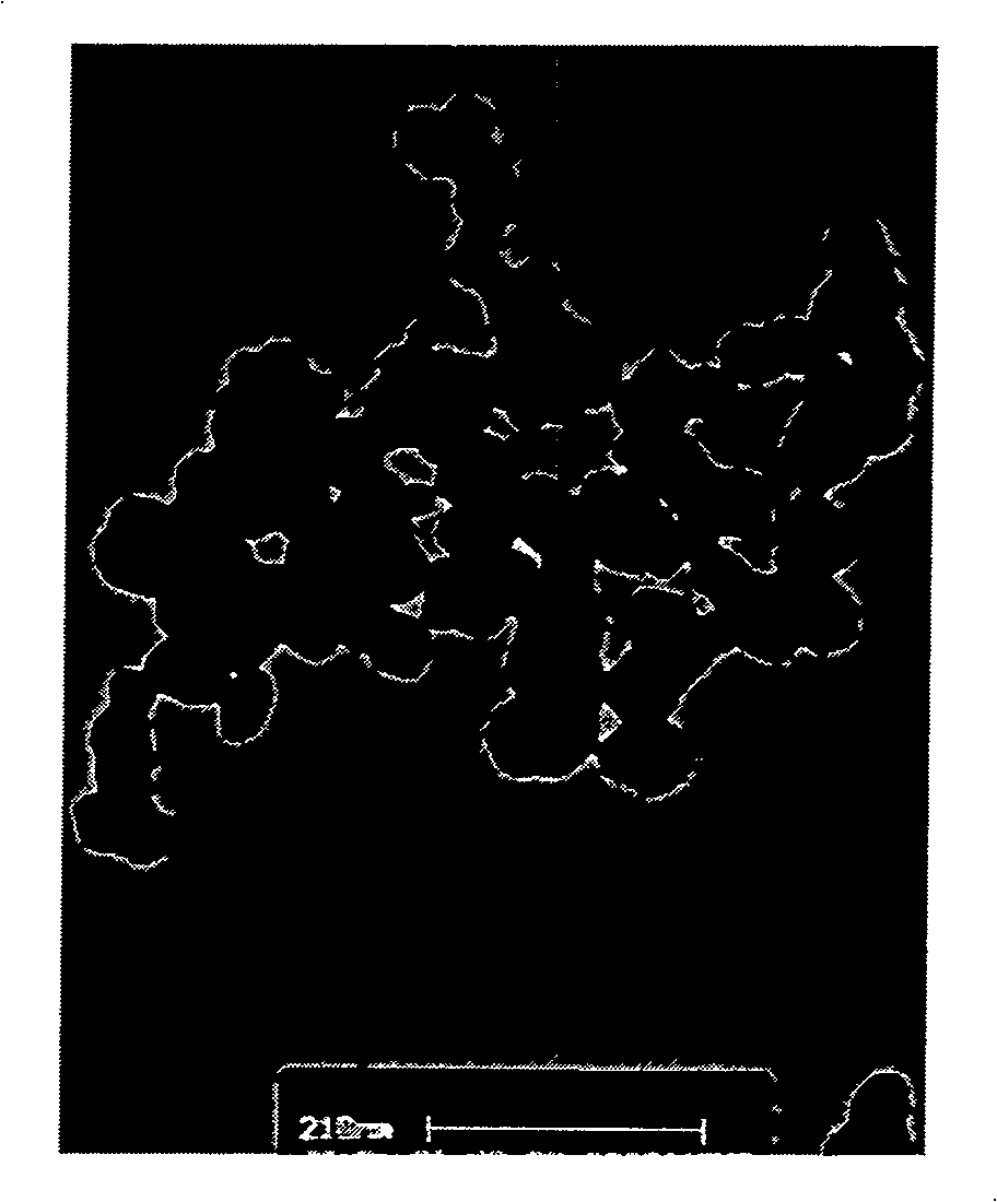 Method of preparing nano tungsten trioxide from microemulsion